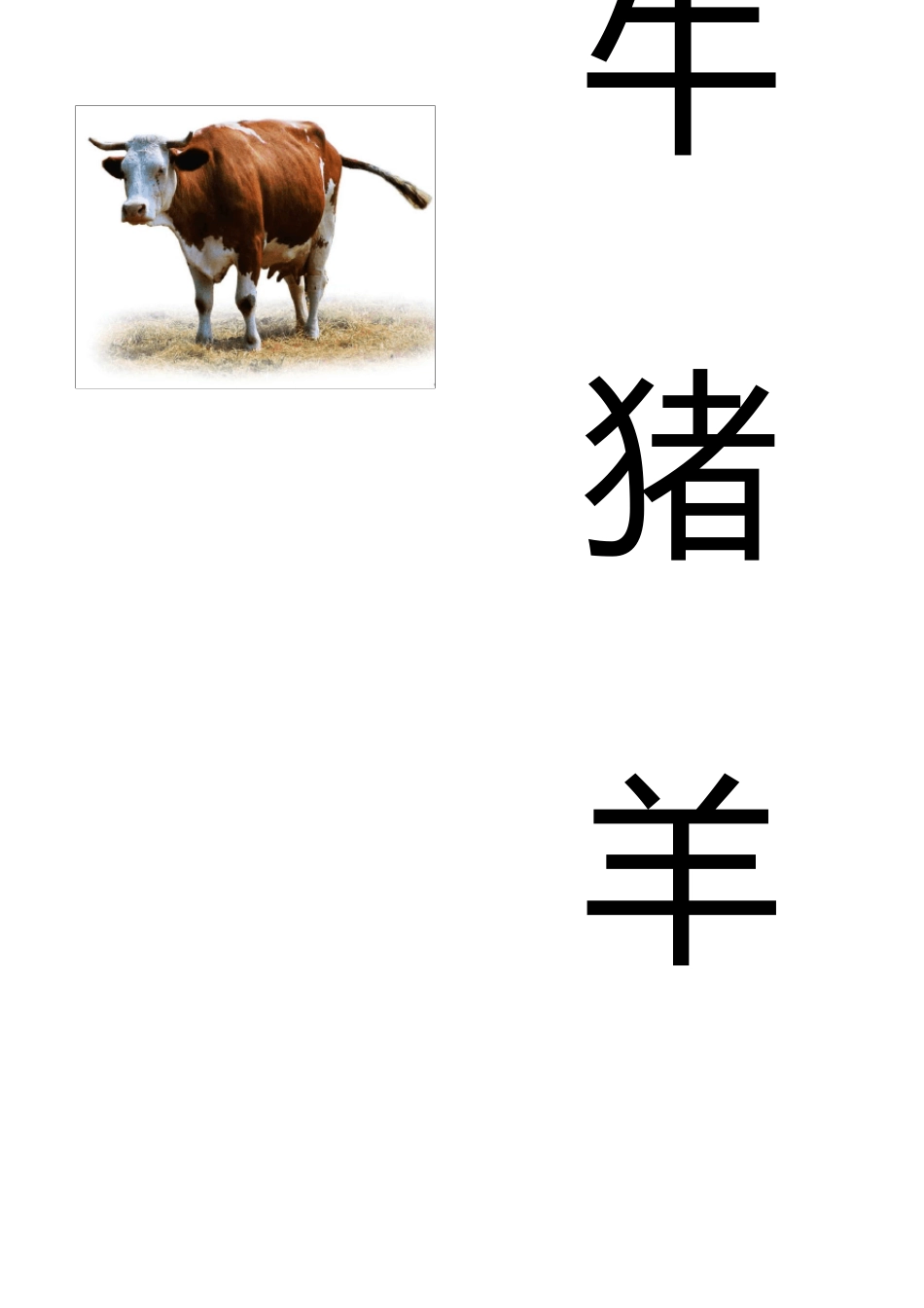 动物卡片(幼儿识图)_第2页