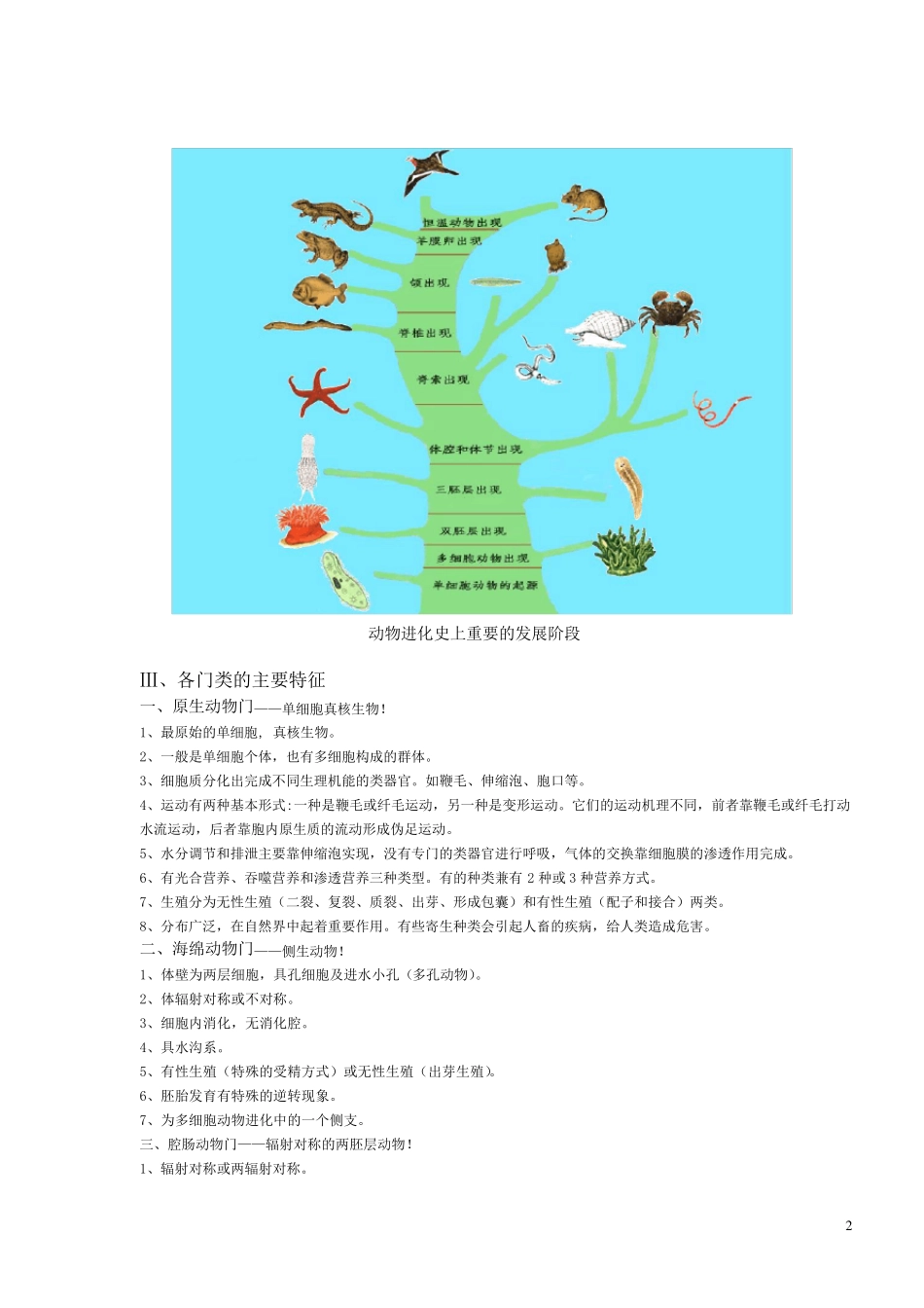 动物学知识点总结_第2页