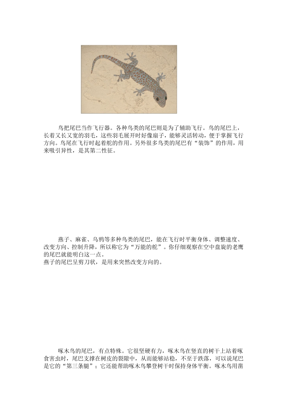 动物尾巴的作用及图片_第2页