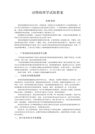 动物病理学试验教案彩图详细版