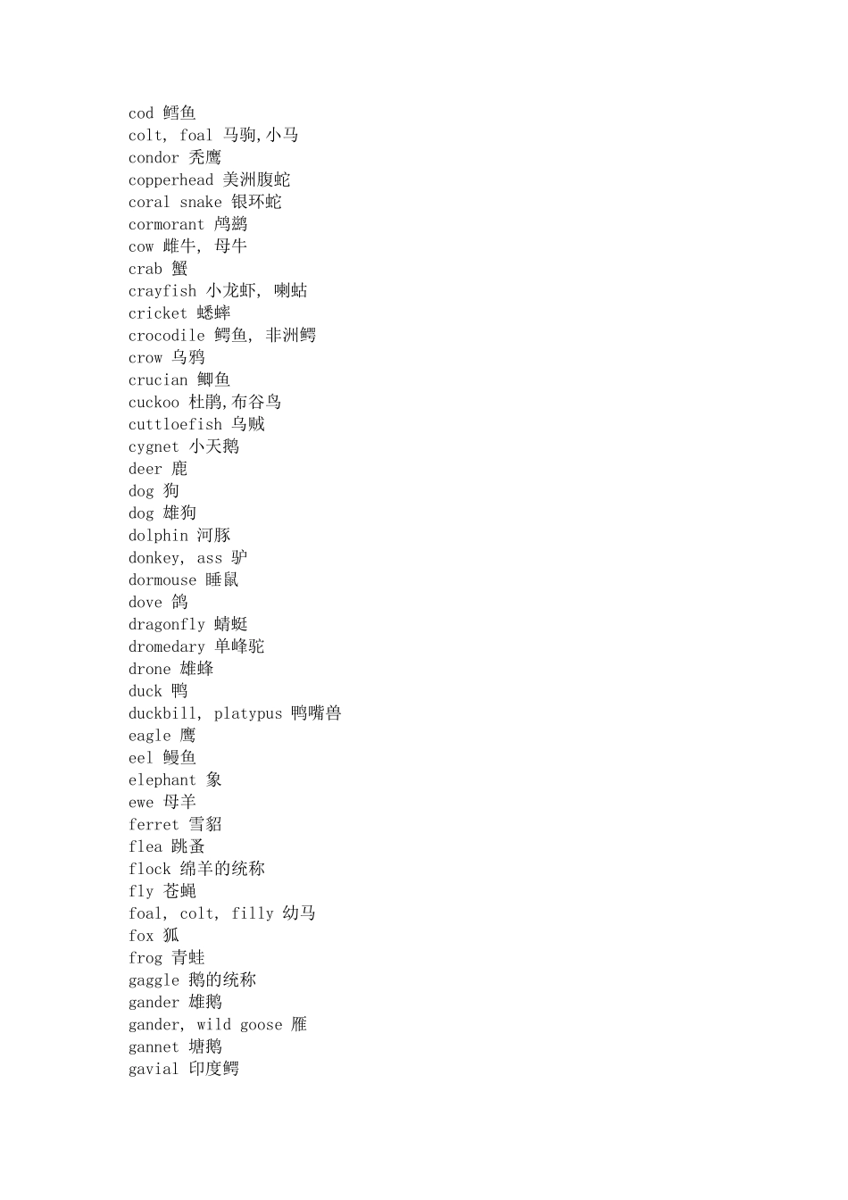 动物的英文翻译_第3页