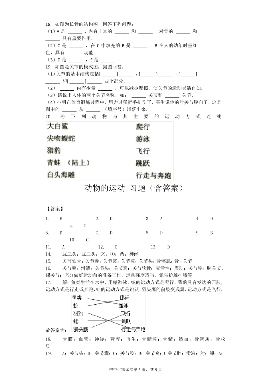 动物的运动习题_第3页