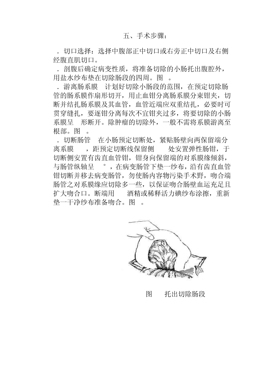 动物肠切除肠吻合术_第3页