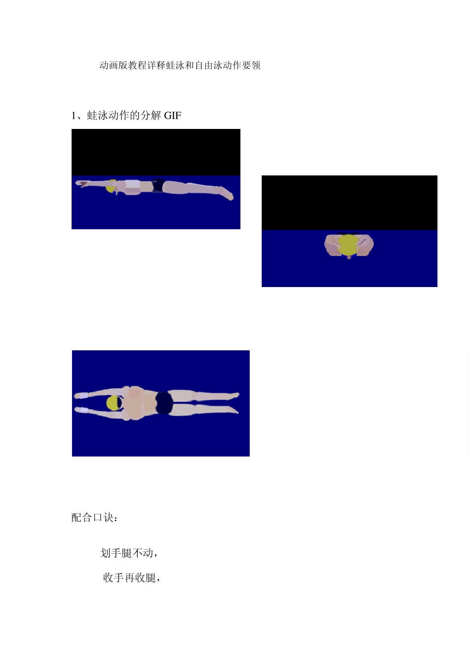 动画版教程详释蛙泳和自由泳动作要领_第1页