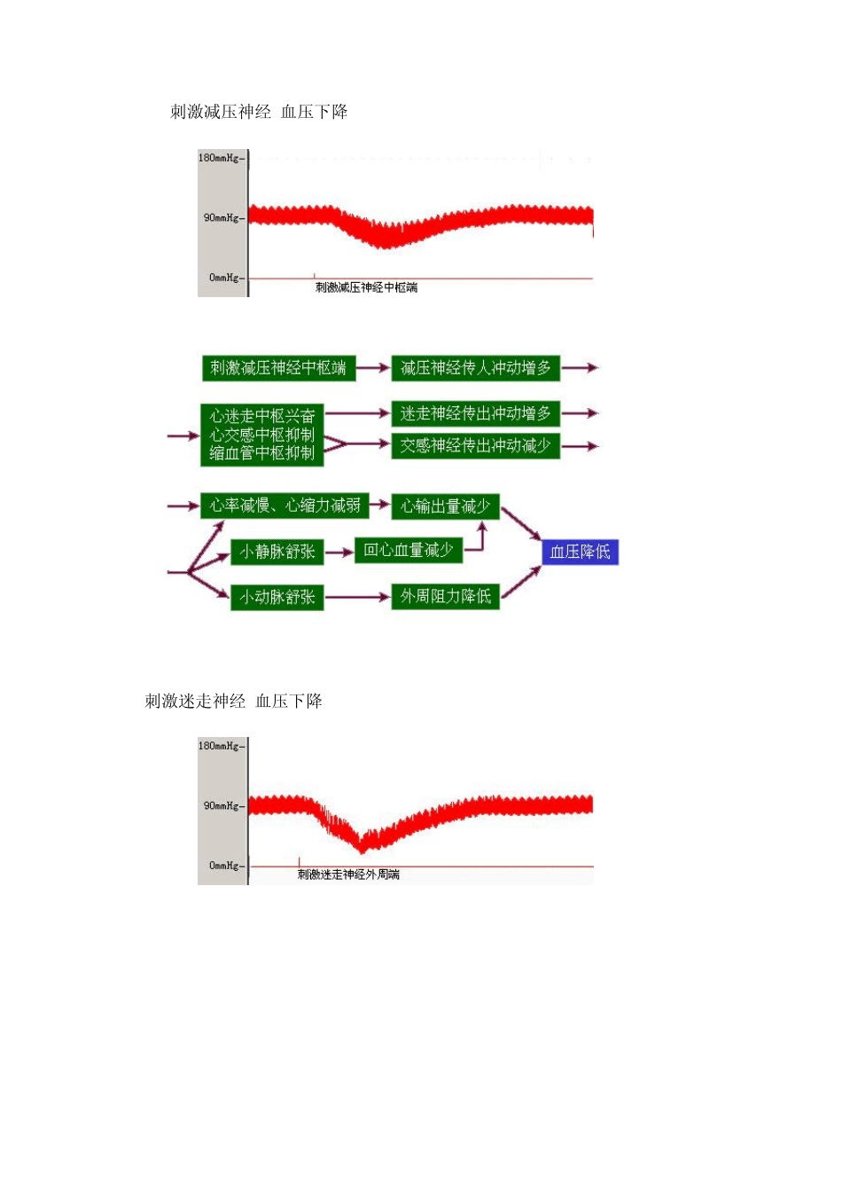 动脉血压的神经和体液调节_第2页