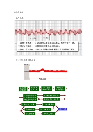 动脉血压的神经和体液调节