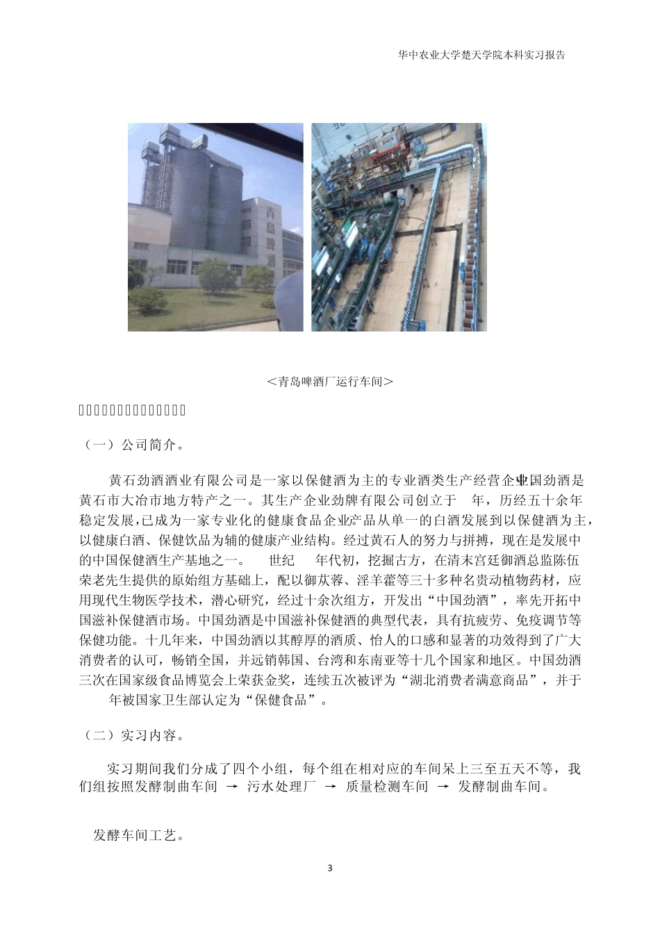 劲酒厂实习总结_第3页