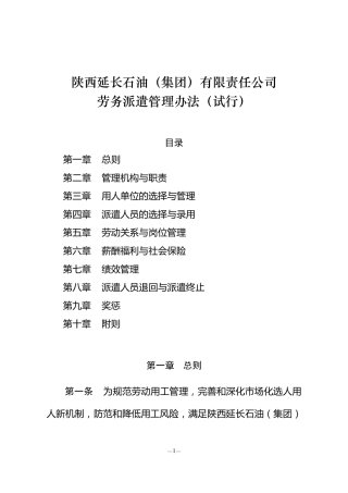 劳务派遣管理办法(终稿)