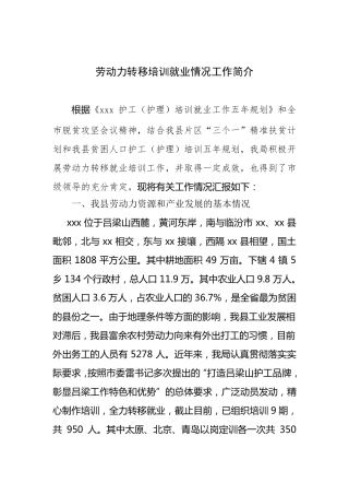 劳动力转移就业工作情况汇报