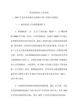 劳动协管员工作总结