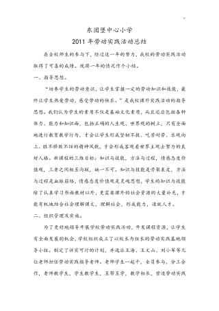 劳动实践活动情况总结