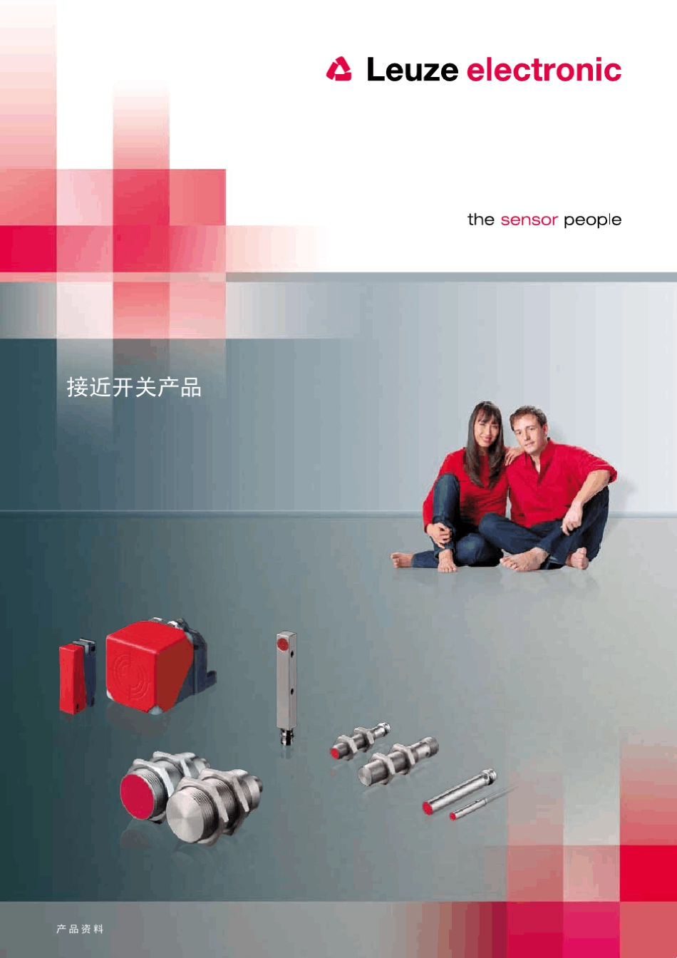 劳易测接近开关_第1页