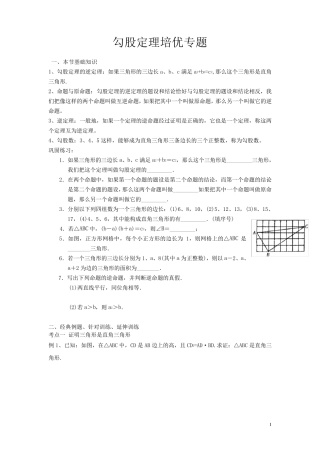 勾股定理的培优专题