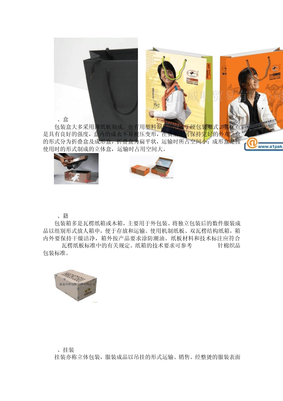 包装设计报告书_第3页