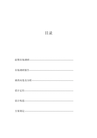 包装设计报告书