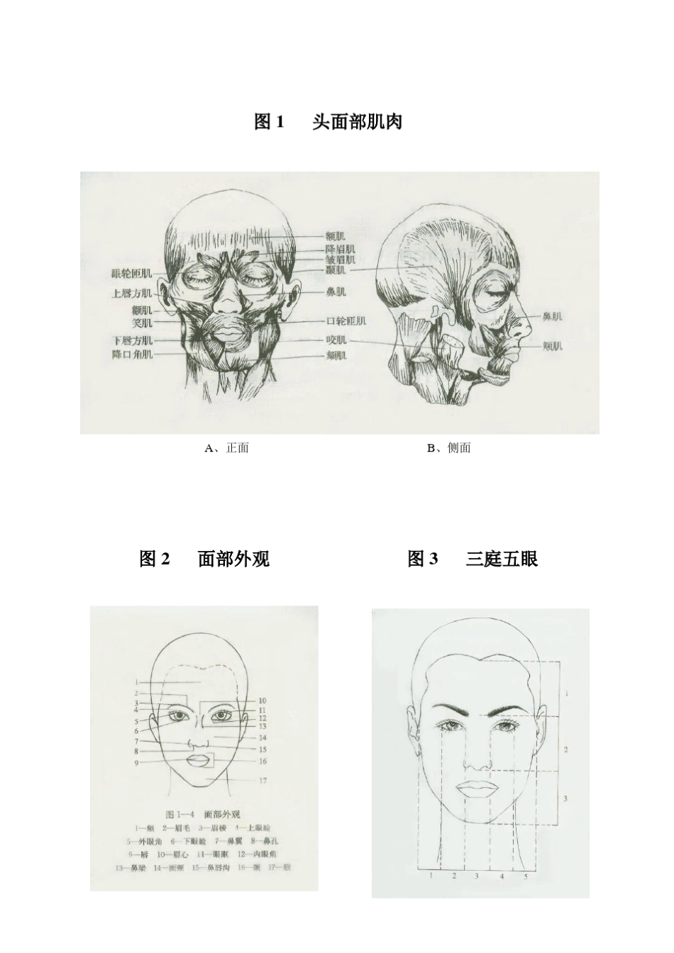 化妆教案图片_第1页