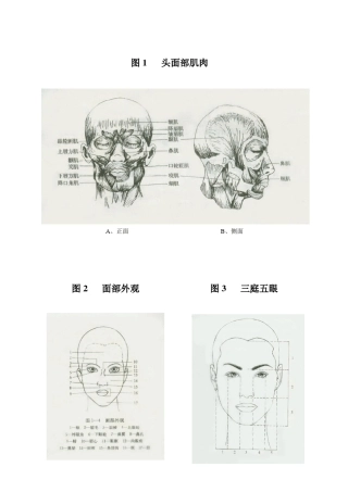 化妆教案图片