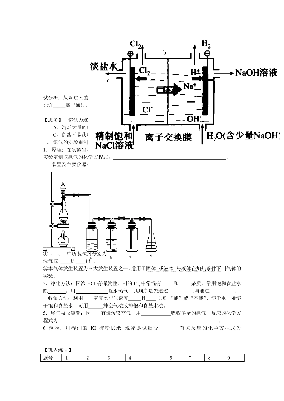 化学氯气的制备和应用_第2页