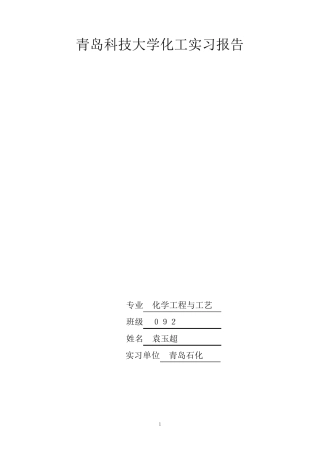 化工专业实习报告