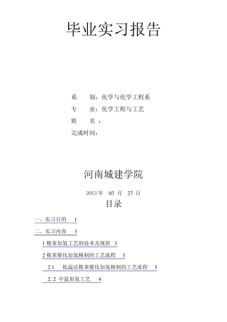 化工毕业实习报告