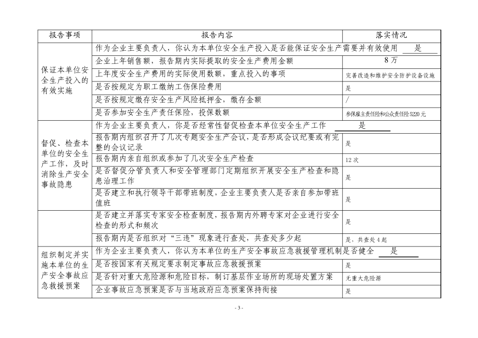 化工生产企业主要负责人安全生产履职情况报告表2010年度_第3页