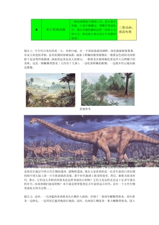 化石形成过程