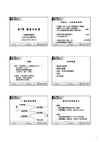 北京大学心理学概论P03感觉与知觉090928sim