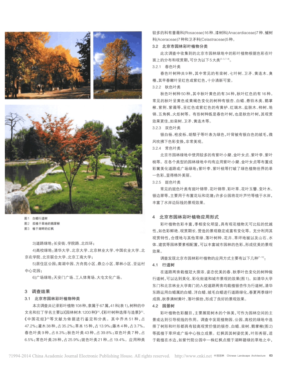 北京市园林彩叶植物种类及园林应用_李霞_第2页