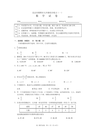 北京市朝阳区九年级综合练习数学试卷及答案