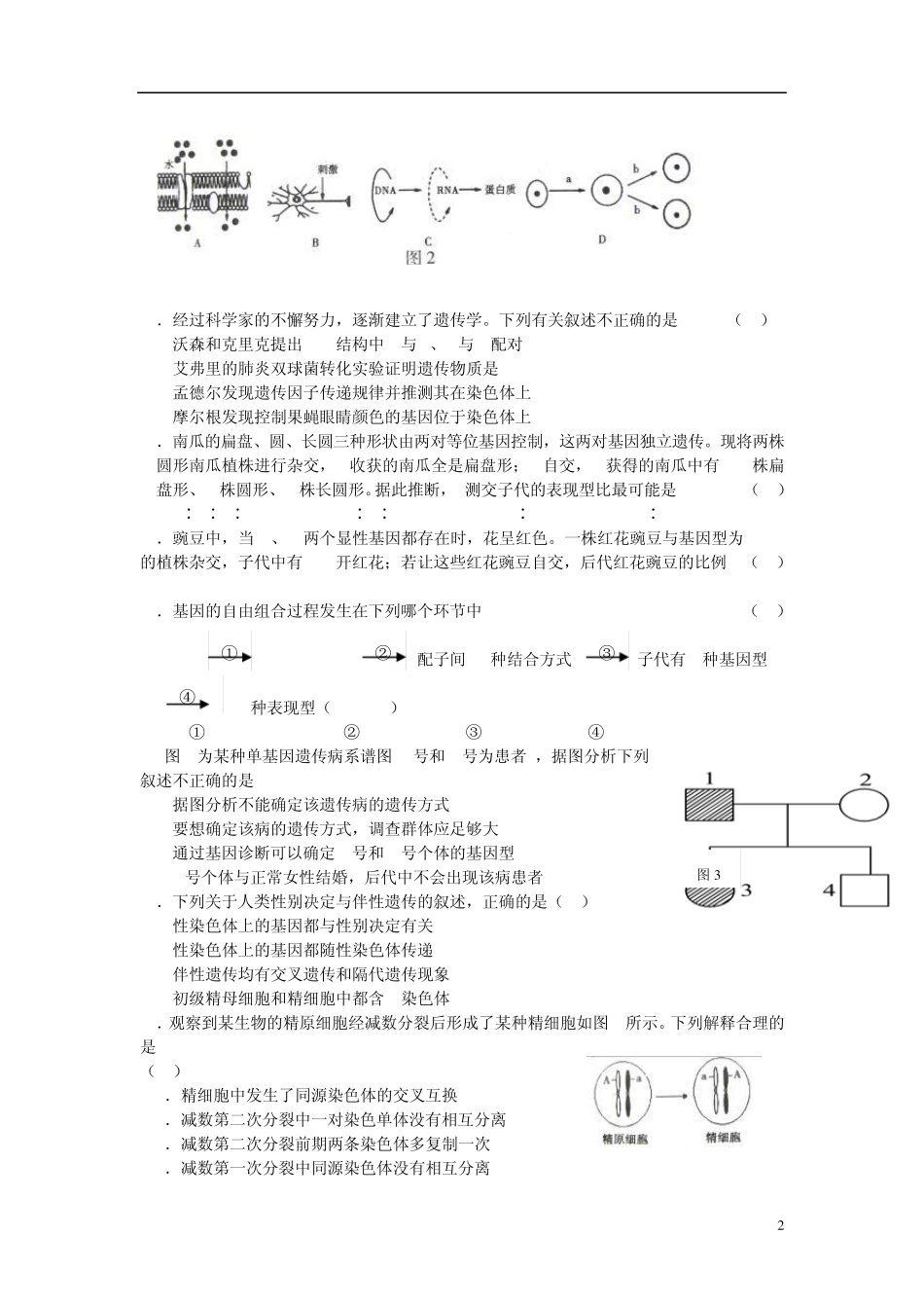 北京市海淀区2013届高三第一学期期末练习生物试题(word版)_第2页