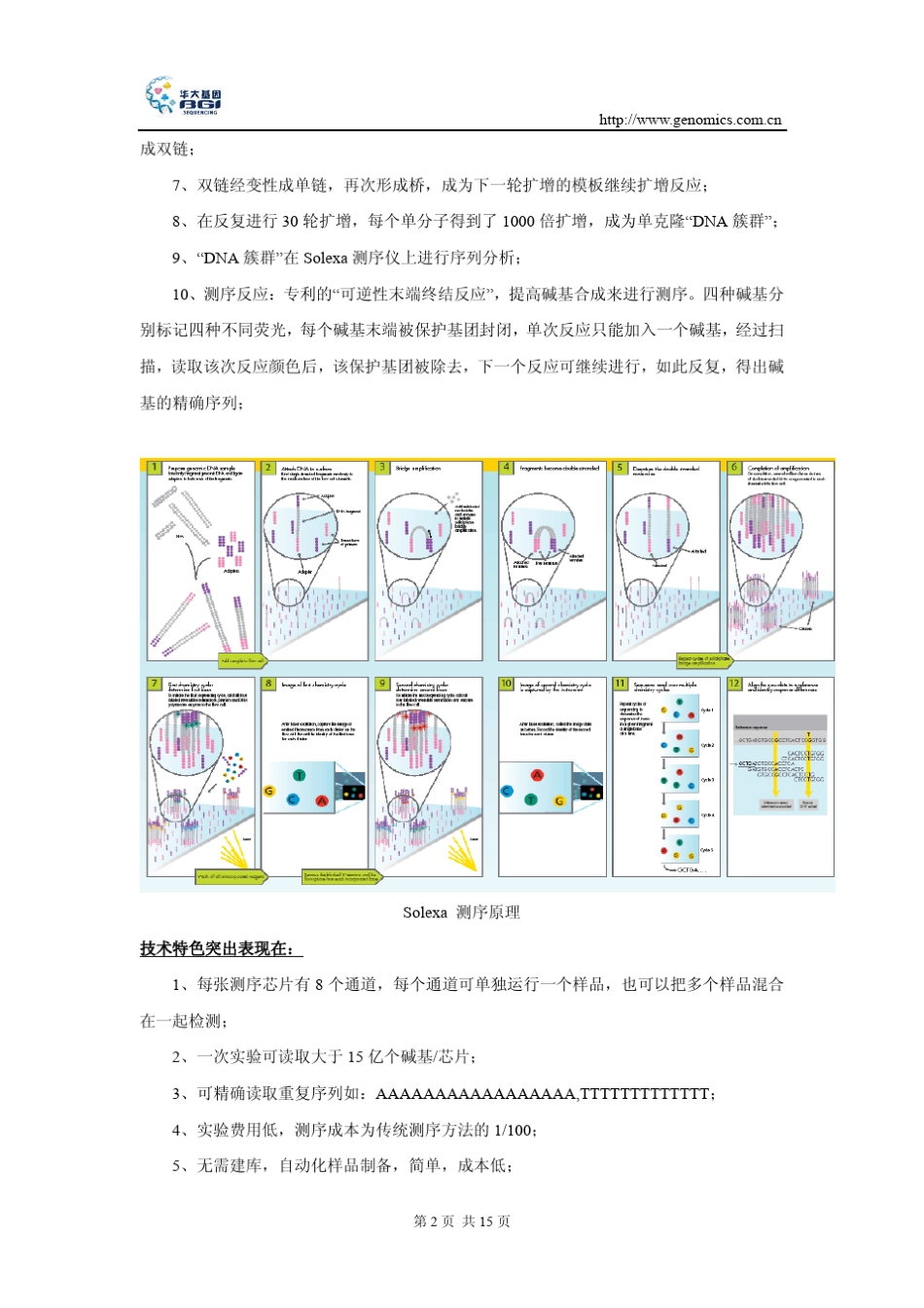 北京师范大学生物化学课件solexa测序原理及应用_第2页
