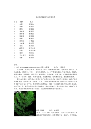 北京植物园园区内珍稀植物d