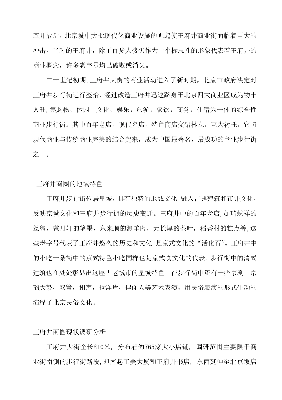 北京王府井调研报告_第3页