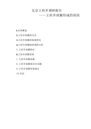 北京王府井调研报告
