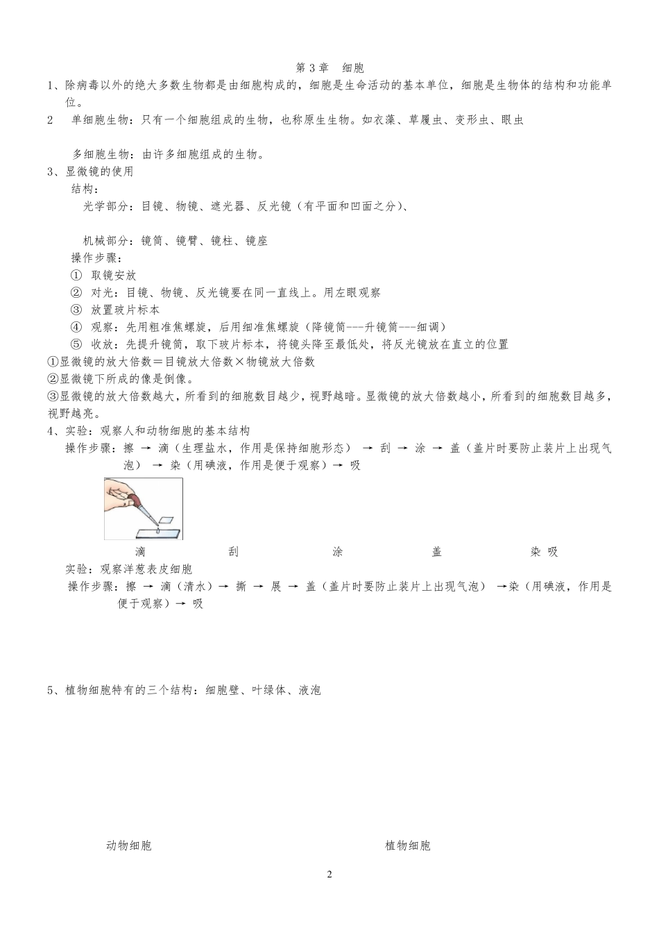 北师大版七年级上册生物复习提纲_第2页