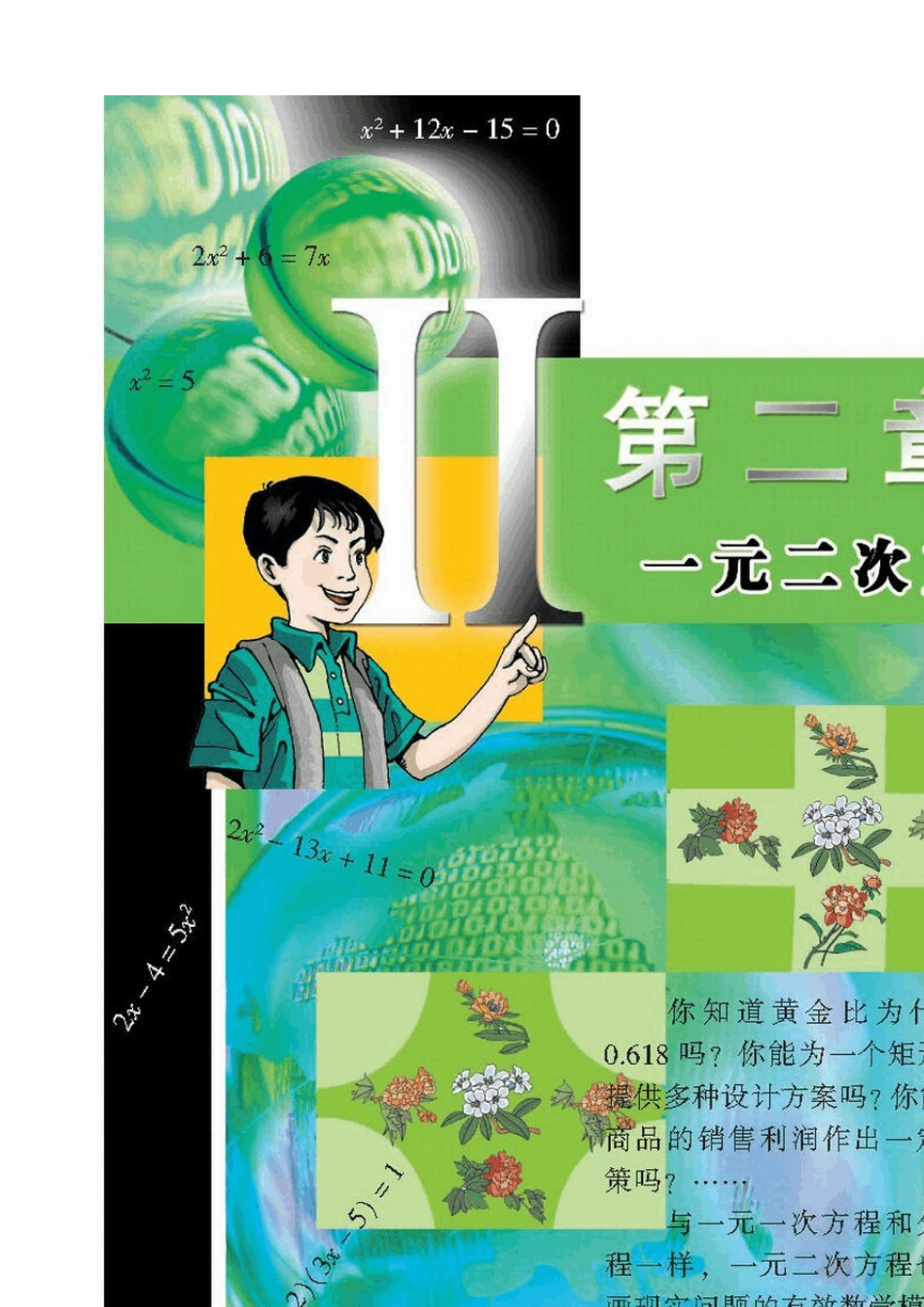 北师大版九年级上第二章一元二次方程2008年秋季电子课本_第1页