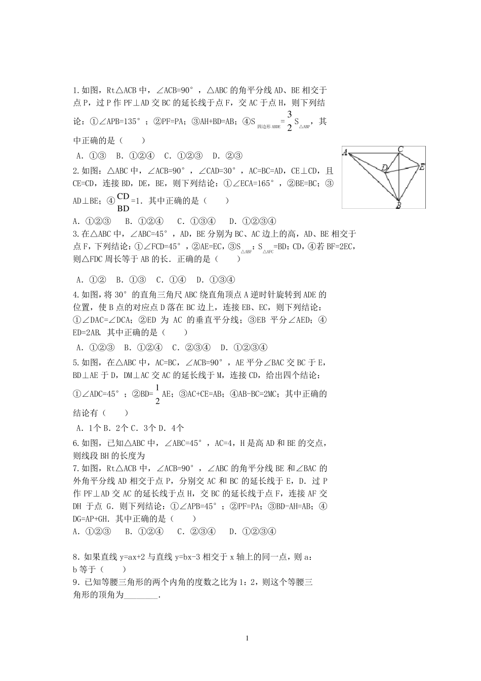 北师大版八年级上专题复习：压轴题_第1页