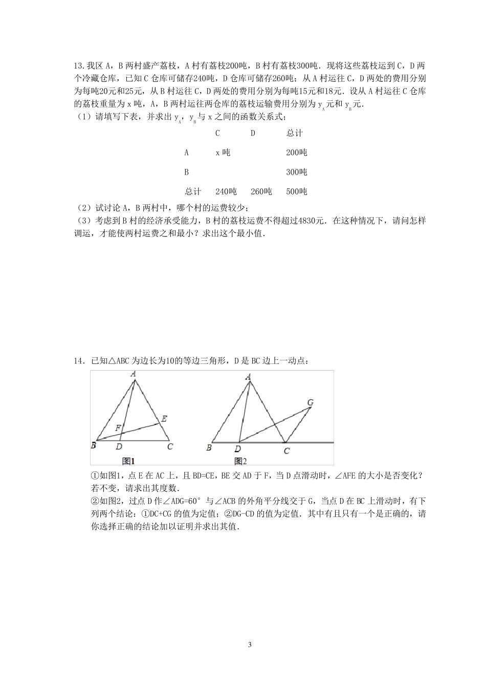 北师大版八年级上专题复习：压轴题_第3页