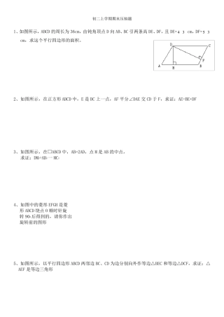北师大版八年级上期末压轴大题