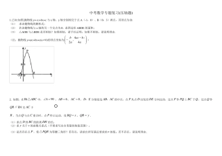 北师大版初中中考数学压轴题及答案