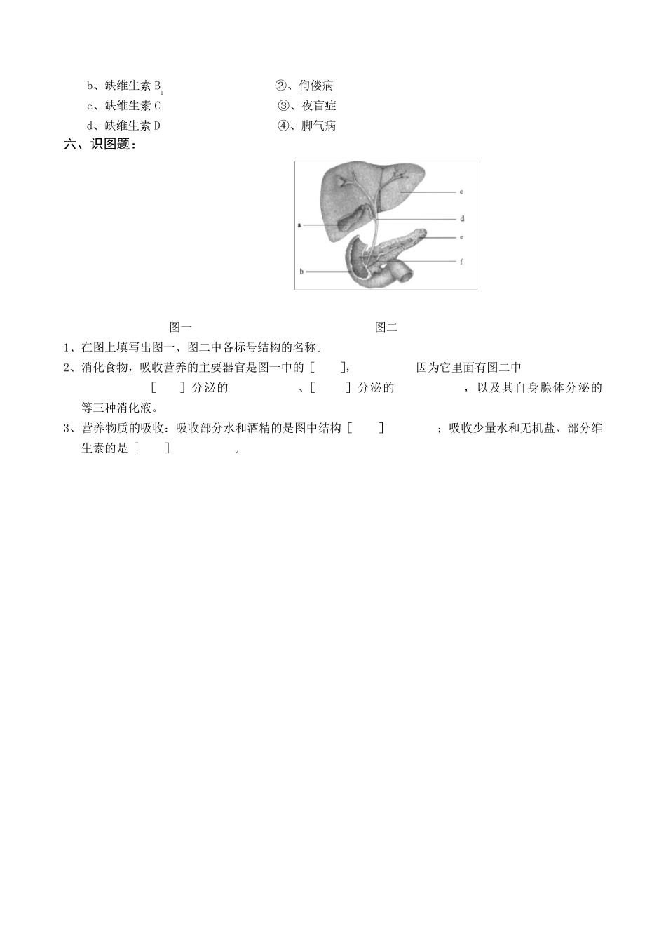 北师大版本七年级下北师大生物试题_第3页