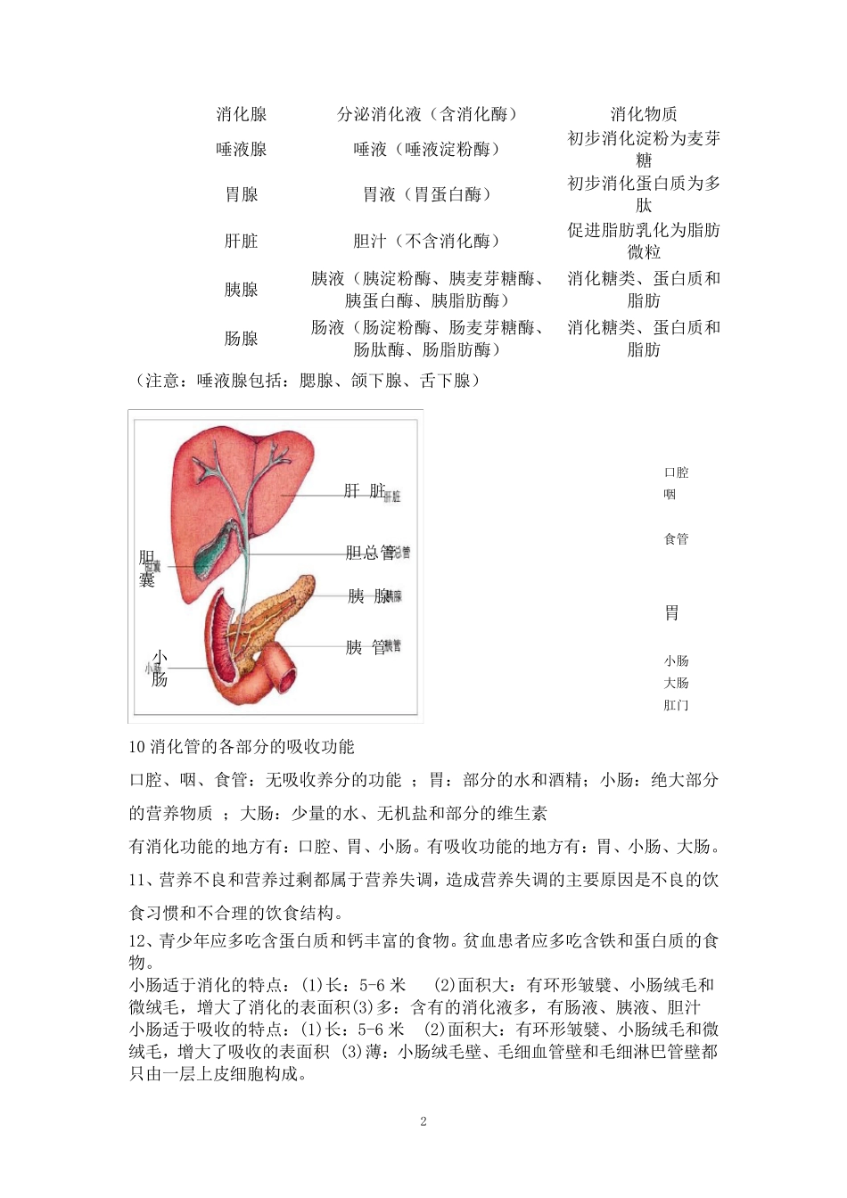 北师大版生物七年级下册复习提纲_第2页