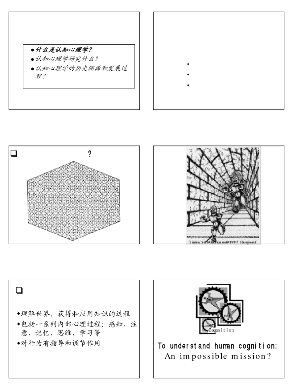北师大认知心理学第一讲概论_第2页