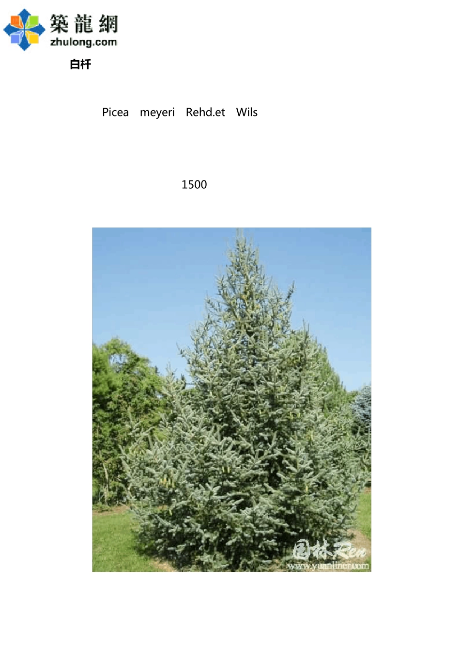 北方园林绿化常用树种PDF_第2页