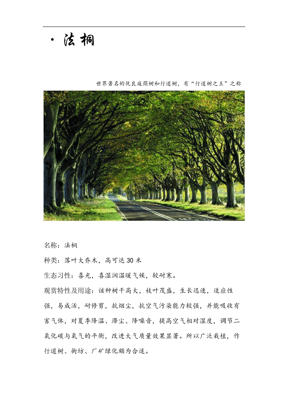 北方园林常用苗木A_第3页