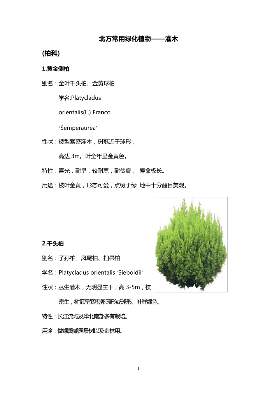 北方园林绿化常用植物灌木_第1页