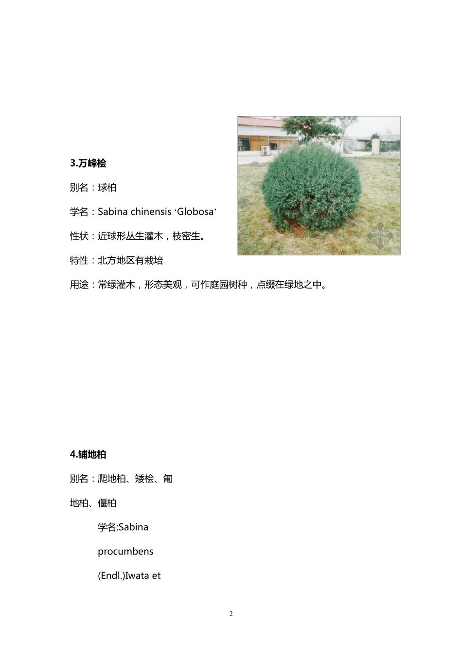 北方园林绿化常用植物灌木_第2页