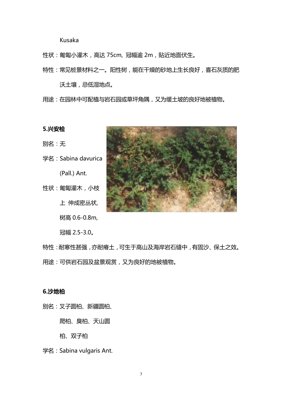 北方园林绿化常用植物灌木_第3页