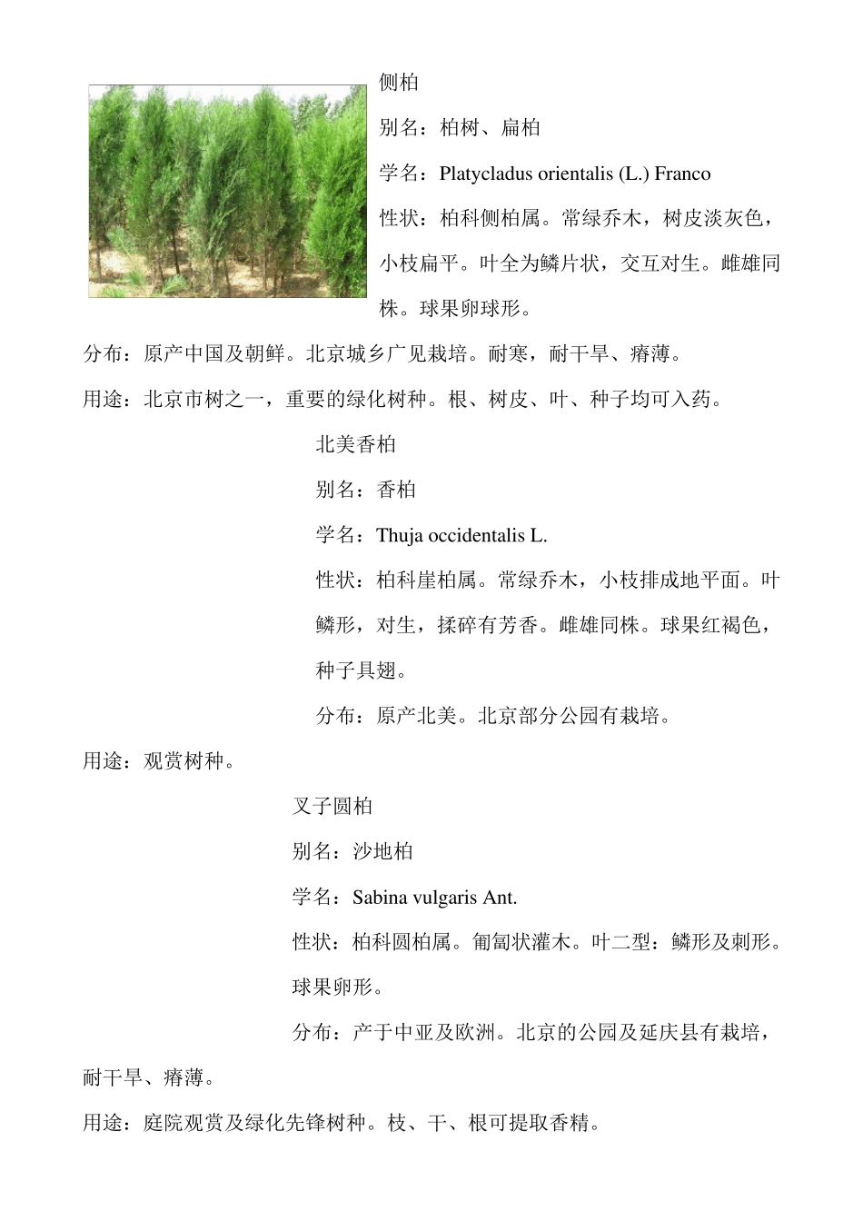 北方地区常用绿化植物简介_第3页