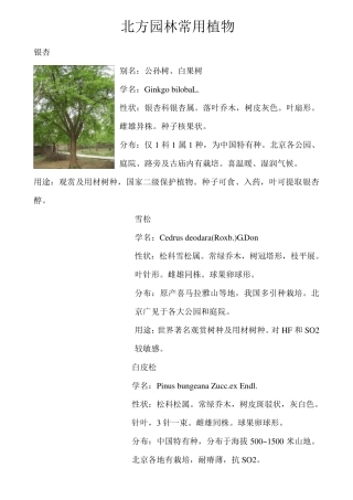 北方地区常用绿化植物简介